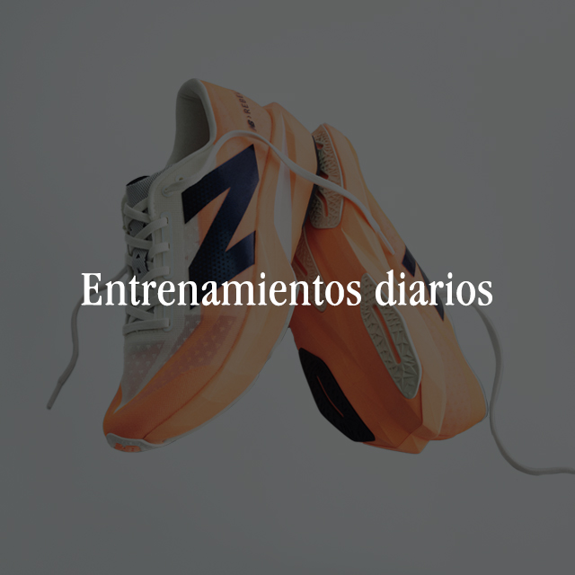 Zapatillas